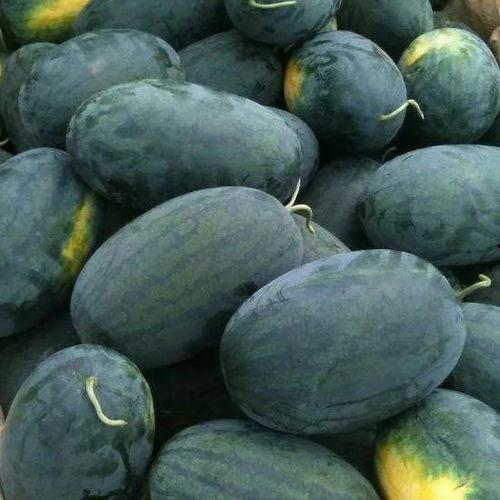 临夏吃瓜的黑料群