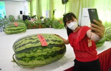 51cg4吃瓜群众黑料